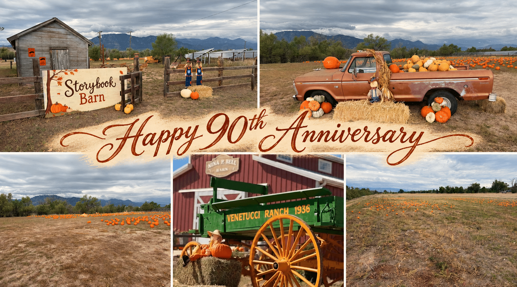 Happy 90th Anniversary Pumpkin Patch Collage